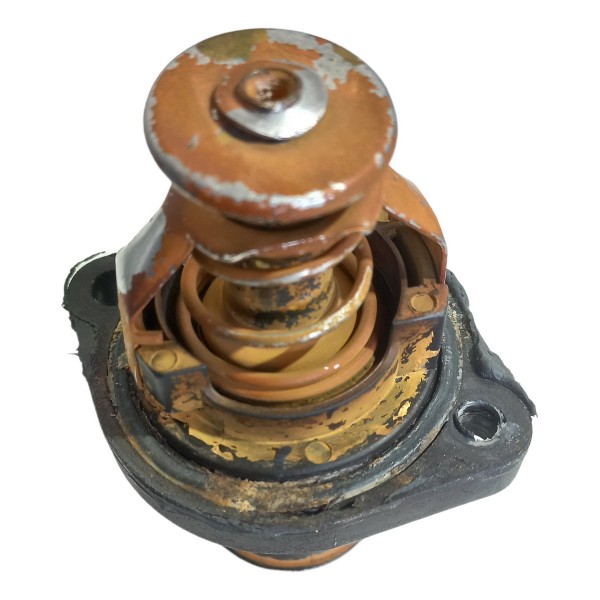 Valvula Termostatica Peugeot Citroen C4 Pallas