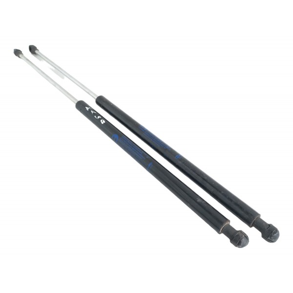 Par Amortecedor Tampa Traseira Porta Malas Fiat Argo 2018