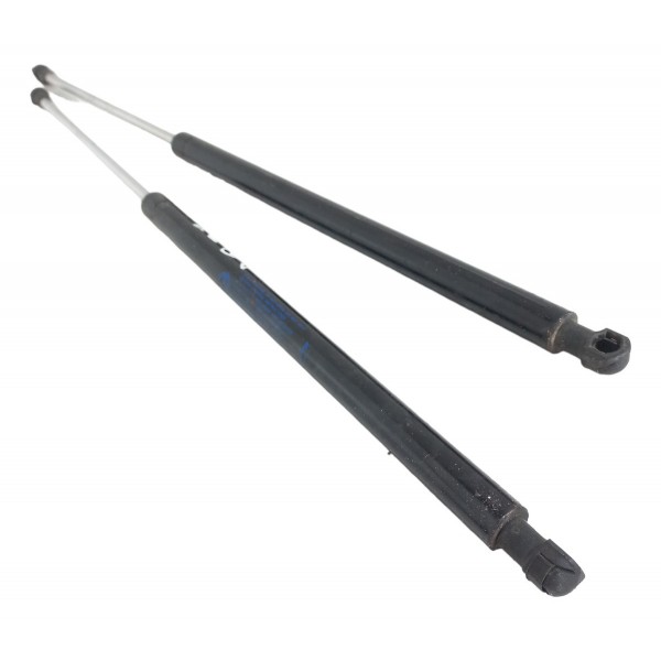 Par Amortecedor Tampa Traseira Porta Malas Fiat Argo 2018