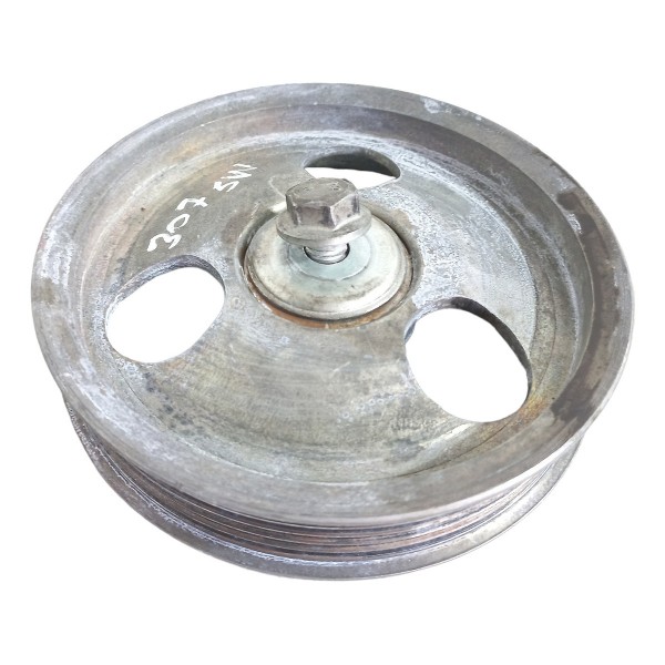 Polia Auxiliar Correia Peugeot 307 Sw 2002