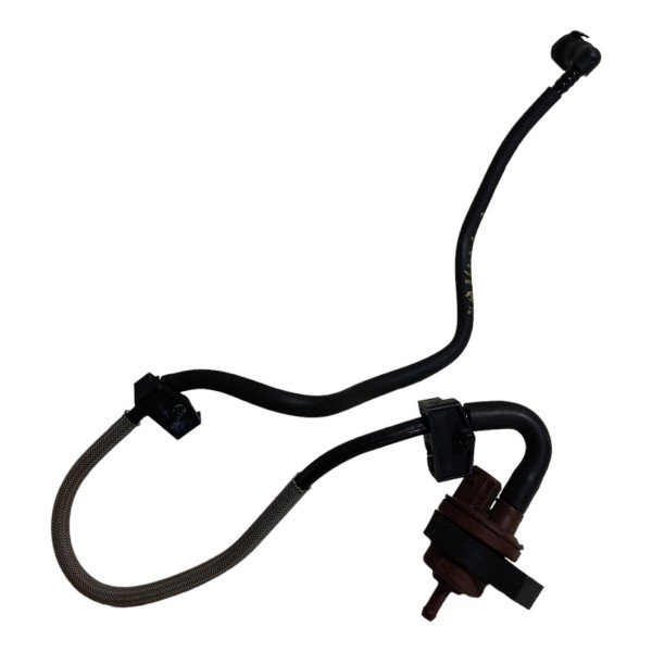 Mangueira Válvula Canister Peugeot 407 2006 2006