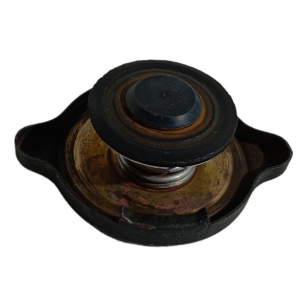 Tampa Radiador Citroen Zx 2.0 1994