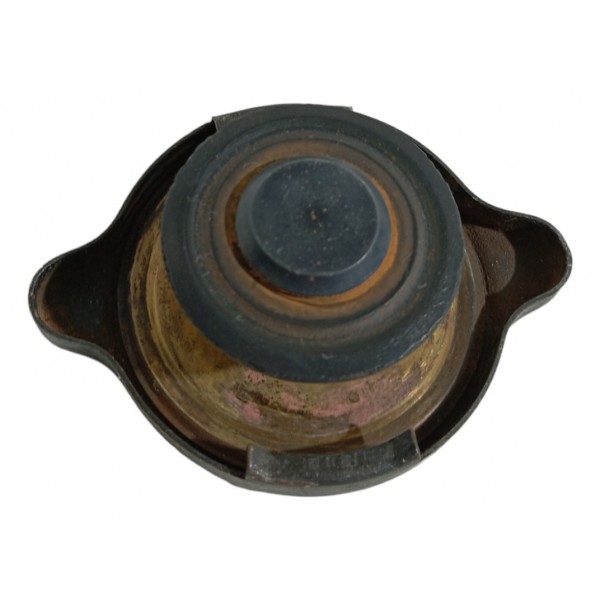 Tampa Radiador Citroen Zx 2.0 1994