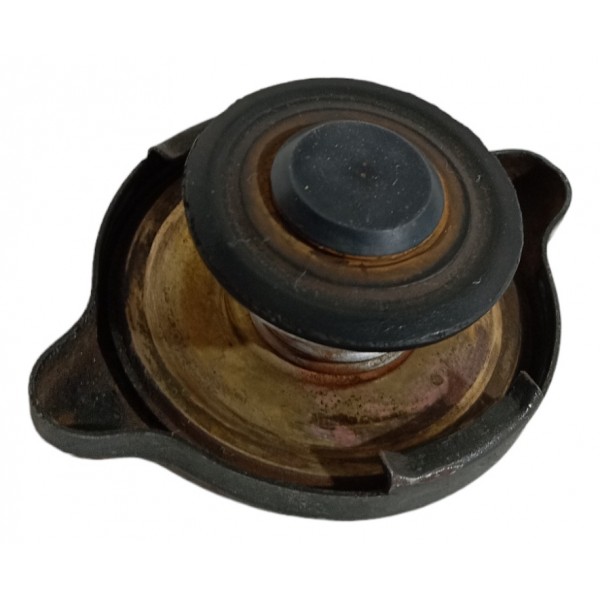 Tampa Radiador Citroen Zx 2.0 1994