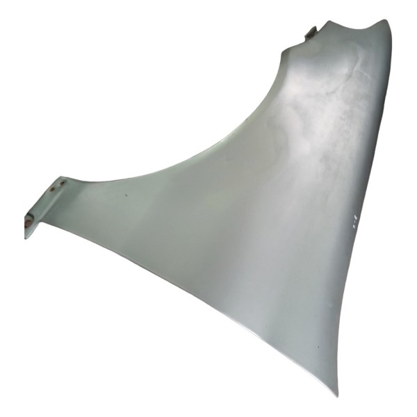 Paralama Dianteiro Esquerdo Fiat Palio 1.0 2001 2002 2003