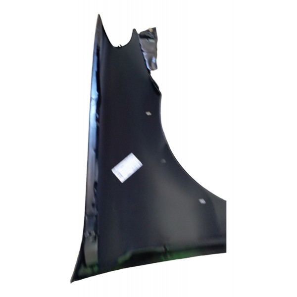 Paralama Dianteiro Esquerdo Fiat Palio Weekend Strada 2008