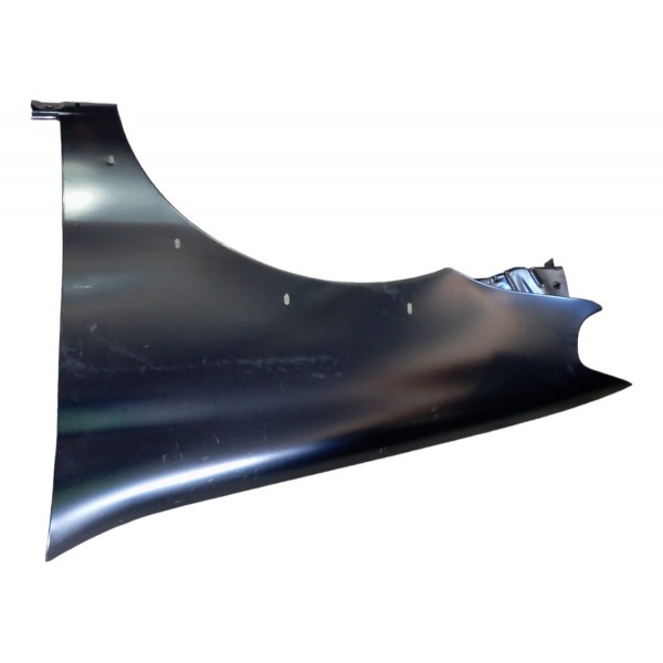 Paralama Dianteiro Esquerdo Fiat Palio Weekend Strada 2008