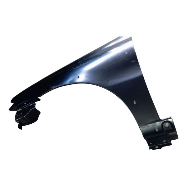 Paralama Dianteiro Esquerdo Fiat Palio Weekend Strada 2008