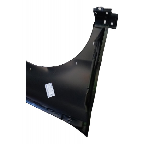 Paralama Dianteiro Esquerdo Fiat Palio Weekend Strada 2008