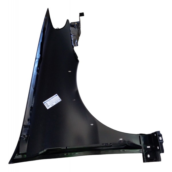 Paralama Dianteiro Esquerdo Fiat Palio Weekend Strada 2008