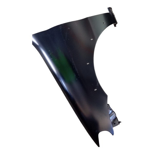 Paralama Dianteiro Esquerdo Fiat Palio Weekend Strada 2008