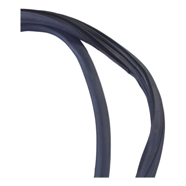 Borracha Porta Traseira Direita Peugeot 208 2014 2015 Preto