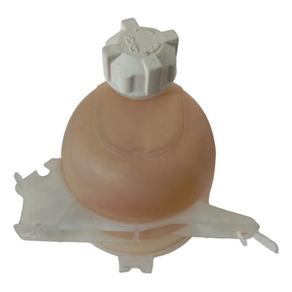 Reservatório Água Radiador Renault Sandero 2009 2010 2011 12