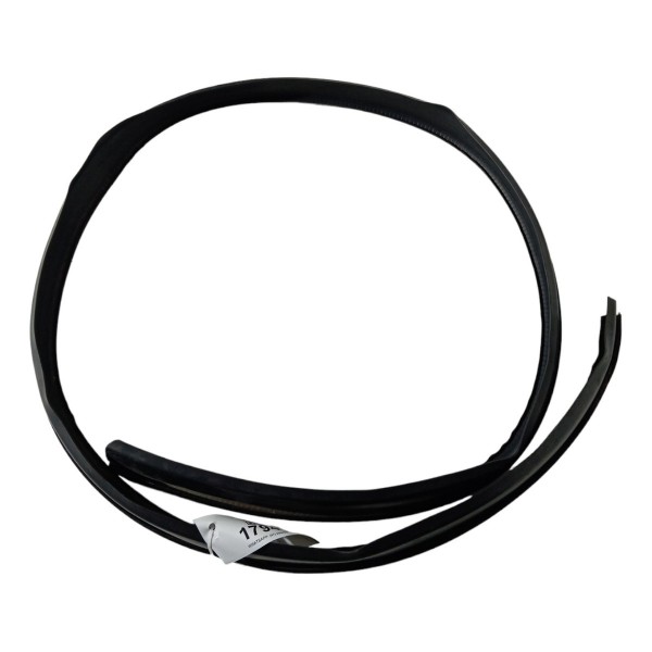 Borracha Teto Pingadeira Renault Sandero 2010 2011 2012  Preto