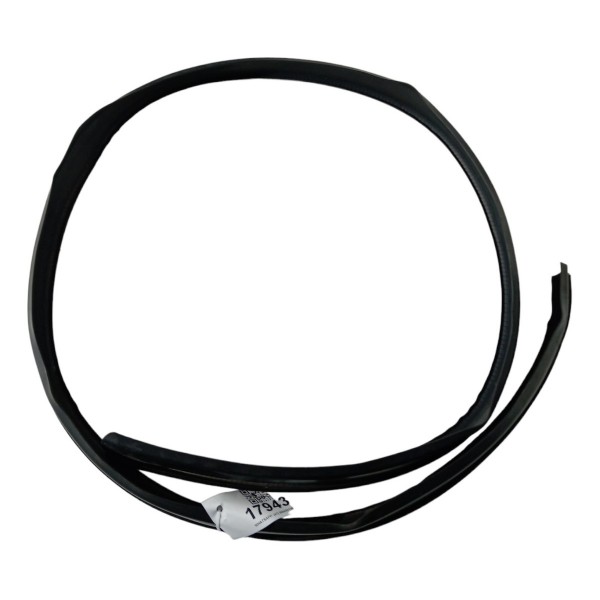 Borracha Teto Pingadeira Renault Sandero 2010 2011 2012  Preto