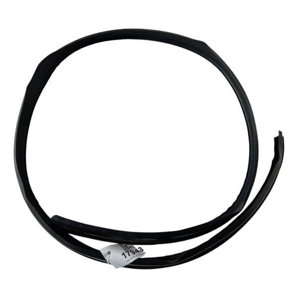 Borracha Teto Pingadeira Renault Sandero 2010 2011 2012  Preto