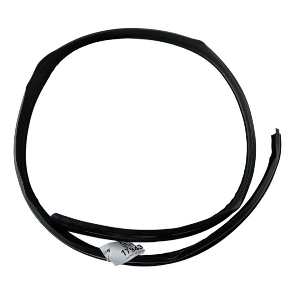 Borracha Teto Pingadeira Renault Sandero 2010 2011 2012  Preto