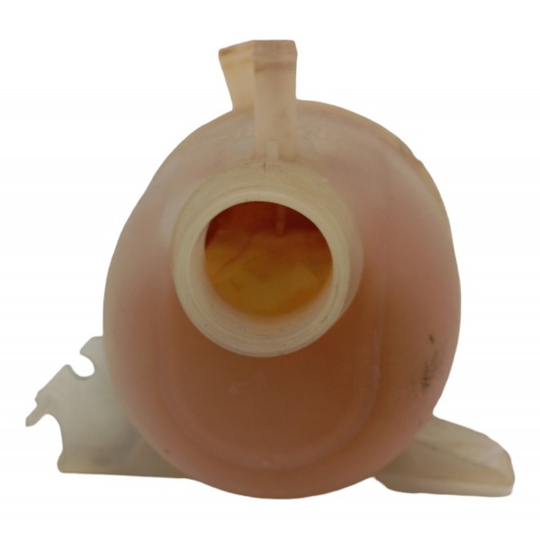 Reservatório Agua Radiador Renault Clio 2002 2003 2004 2005