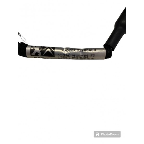 Camera Re Peugeot 208 2019