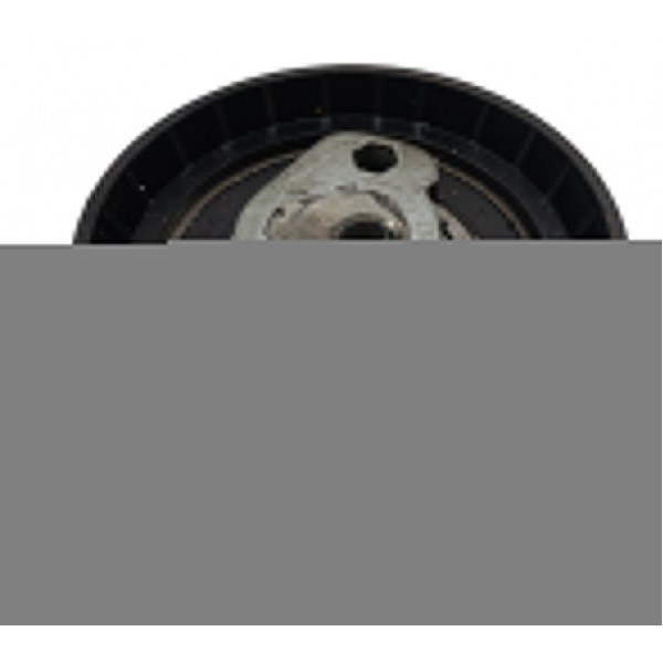 Tensor Correia Dentada Peugeot Citroen 207 307 206 C3 2007