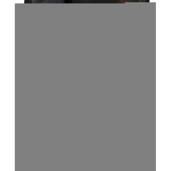 Bobina Ignição Peugeot 2008 1.6 Ano 2016 2017 2018 2019 2020