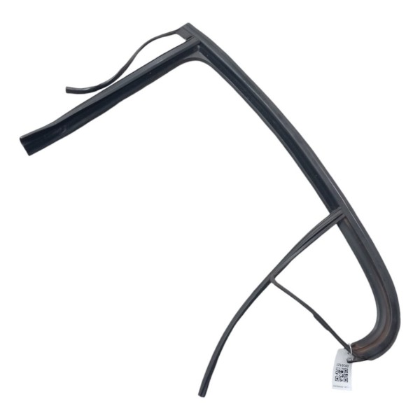 Borracha Canaleta Vidro Porta Traseira Esquerda Fluence 2011 Preto