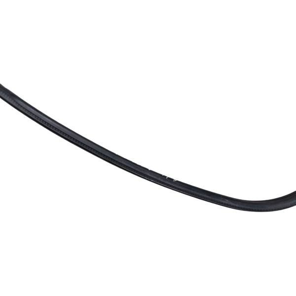 Borracha Vedação Porta Traseira Dir Citroen C4 Pallas 2007 Preto