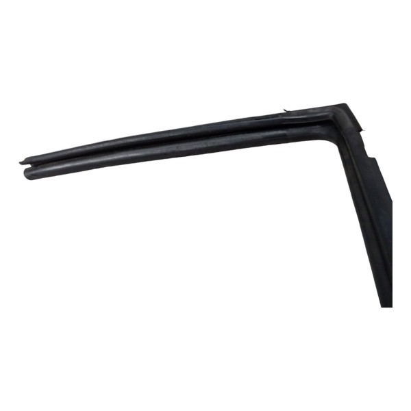 Borracha Guarnição Porta Traseira Direita Nissan Livina 2012