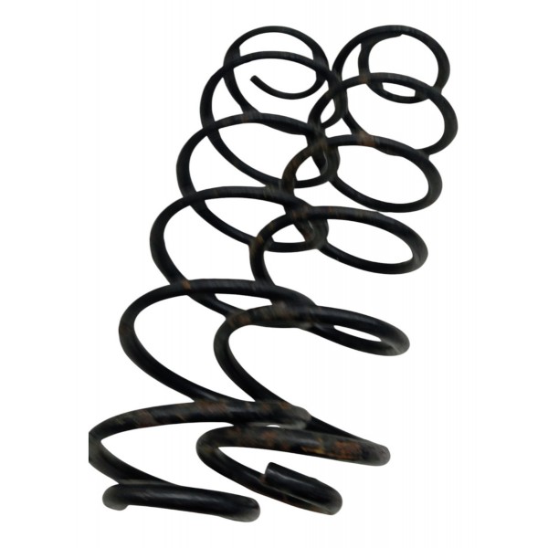 Par Molas Traseiro Citroen C3 2008 2009