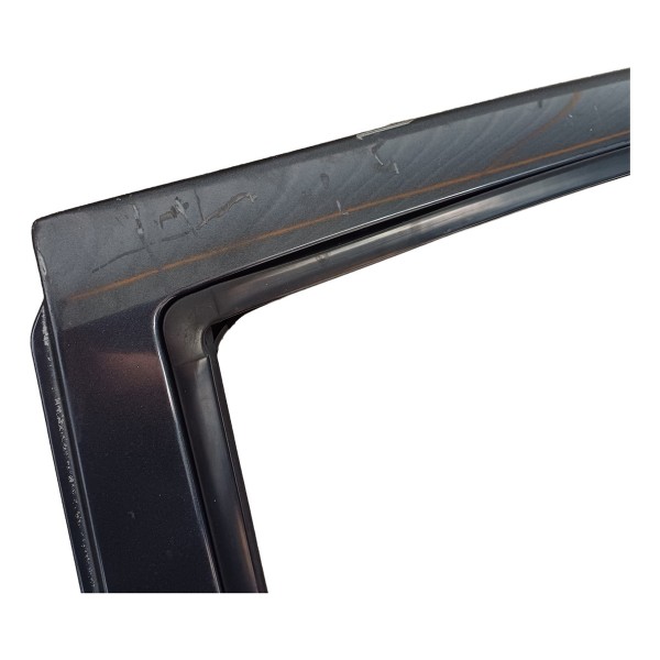 Porta Traseira Esquerda Renault Scenic 2003 Detalhe