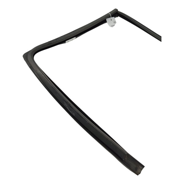 Borracha Canaleta Traseira Direita Renault Clio 1.0 2016 17 Preto