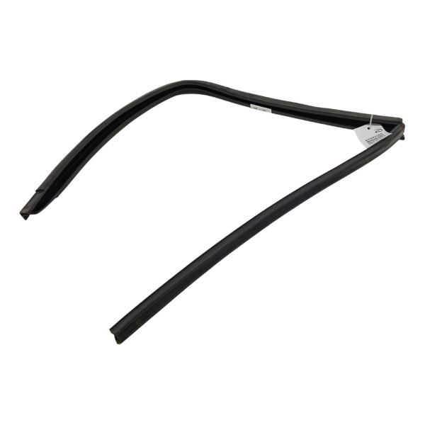 Borracha Canaleta Traseira Direita Renault Clio 1.0 2016 17 Preto