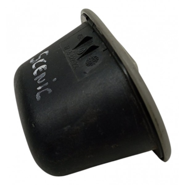 Cinzeiro Porta Traseira Esquerda Renault Scenic 2003 2004