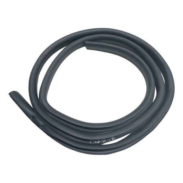 Borracha Porta Traseira Esquerda Ford New Fiesta 1.6 2015