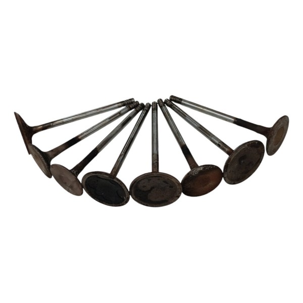 Kit Valvula Cabeçote Ford Ecosport 1.6 8v 2009 2010 2011 12