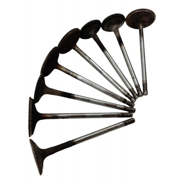 Kit Valvula Cabeçote Ford Ecosport 1.6 8v 2009 2010 2011 12