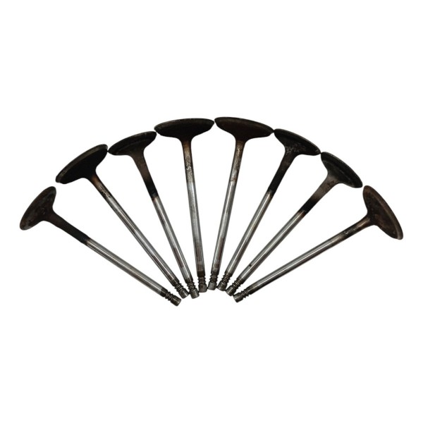 Kit Valvula Cabeçote Ford Ecosport 1.6 8v 2009 2010 2011 12