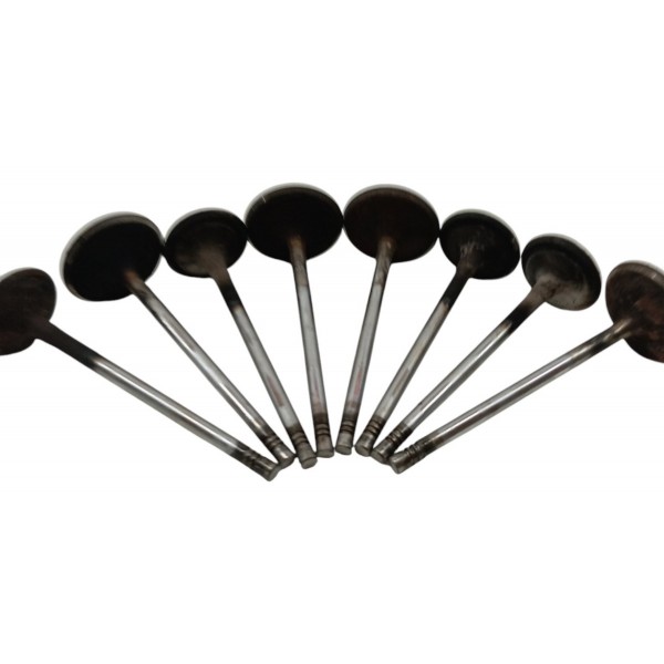 Kit Valvula Cabeçote Ford Ecosport 1.6 8v 2009 2010 2011 12