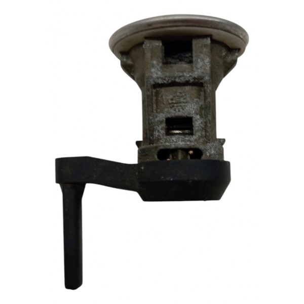 Miolo Porta Dianteira Direita Peugeot 206 2005 2006 2007 08