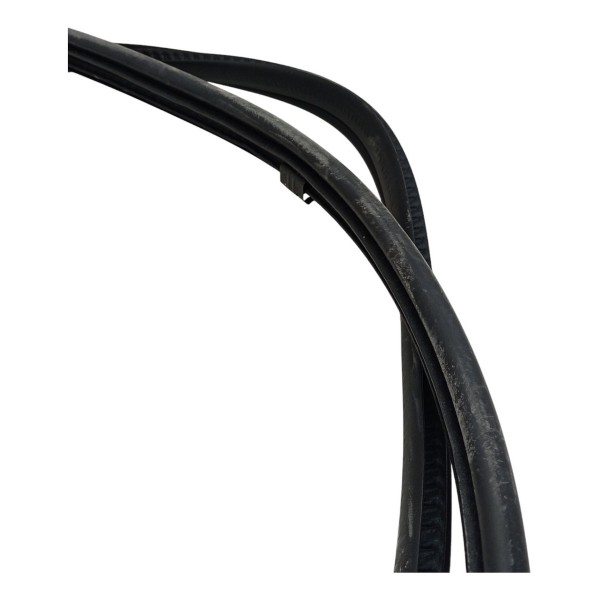 Borracha Porta Traseira Esquerda Nissan Kicks 2020 2021 2022