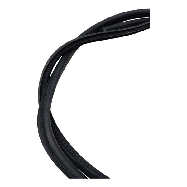 Borracha Porta Traseira Direita Nissan Kicks 2020 2021 2022