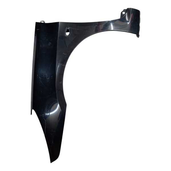 Paralama Esquerdo Peugeot 307 Sw 2002 2003 2004 2005 2006 07