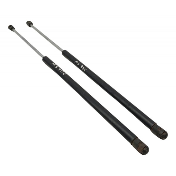 Par Amortecedor Tampa Porta Malas Peugeot 206 Sw 2003 2004