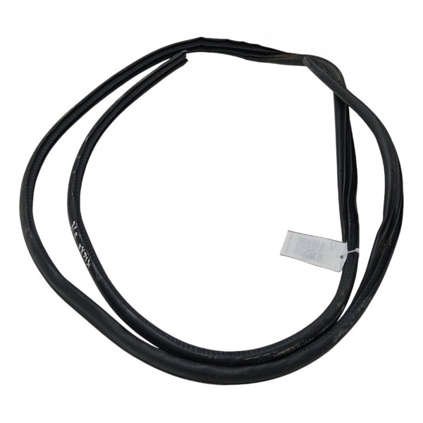 Borracha Porta Dianteira Esquerda Nissan Kicks 1.6 2020 2021 Preto