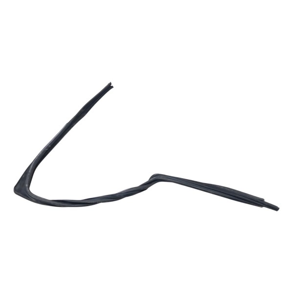 Borracha Vidro Traseiro Esquerdo Renault Duster 2019 2020