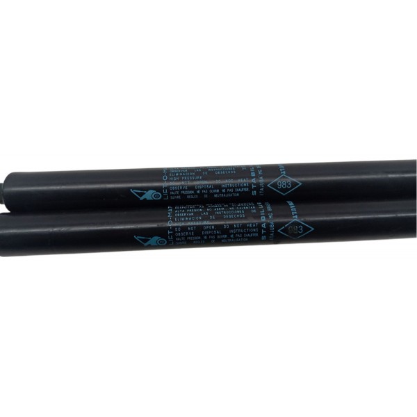 Par Amortecedor Tampa Traseira Renault Duster 2019 2020