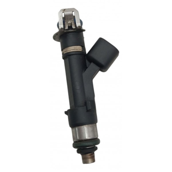 Bico Injetor Ford Ecosport 2.0 2007 2008 2009