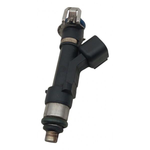 Bico Injetor Ford Ecosport 2.0 2007 2008 2009