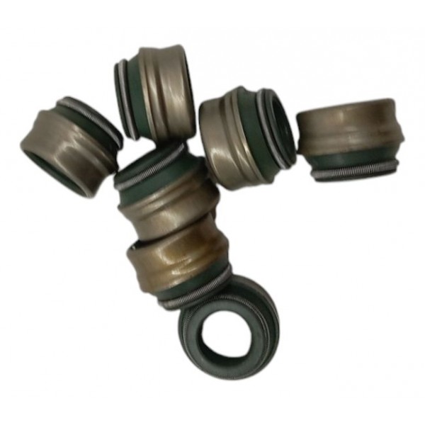 Kit Retentor Haste Válvula Iveco Eurotech Eurostar