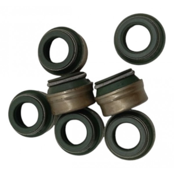 Kit Retentor Haste Válvula Iveco Eurotech Eurostar